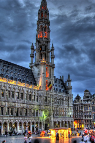 Das Brussels Grote Markt and Town Hall Wallpaper 320x480