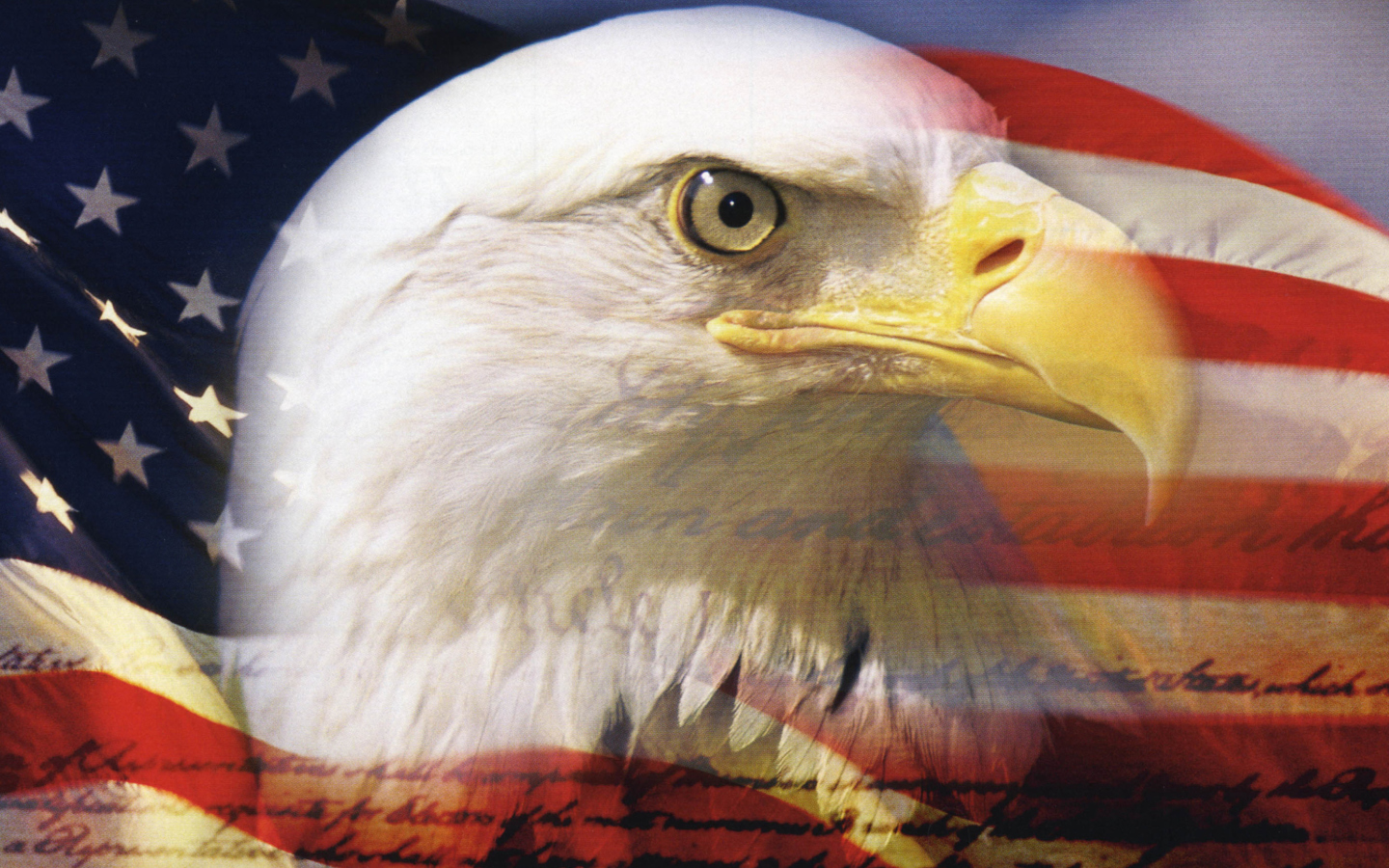 Fondo de pantalla USA Flag 1440x900