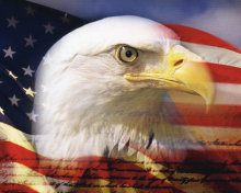 USA Flag wallpaper 220x176