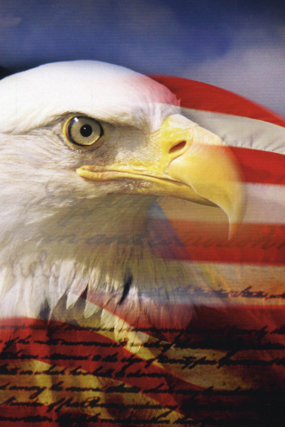 USA Flag wallpaper 320x480