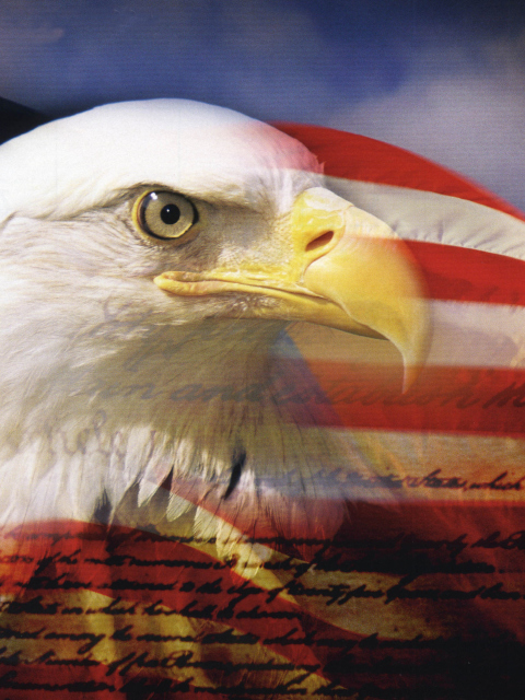 Das USA Flag Wallpaper 480x640