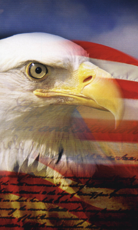 USA Flag wallpaper 480x800