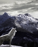 Das White Wolf In Mountains Wallpaper 128x160