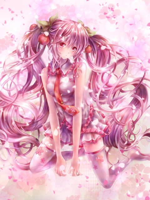 Vocaloid, Sakura Miku wallpaper 480x640