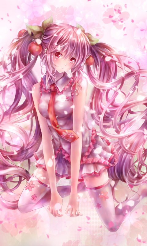Screenshot №1 pro téma Vocaloid, Sakura Miku 480x800
