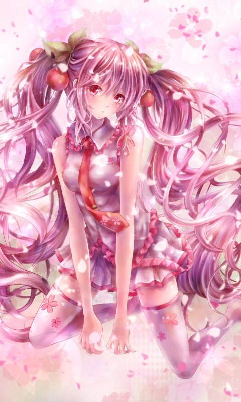 Fondo de pantalla Vocaloid, Sakura Miku 480x800