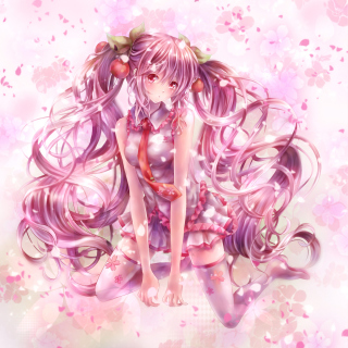 Vocaloid, Sakura Miku sfondi gratuiti per 1024x1024