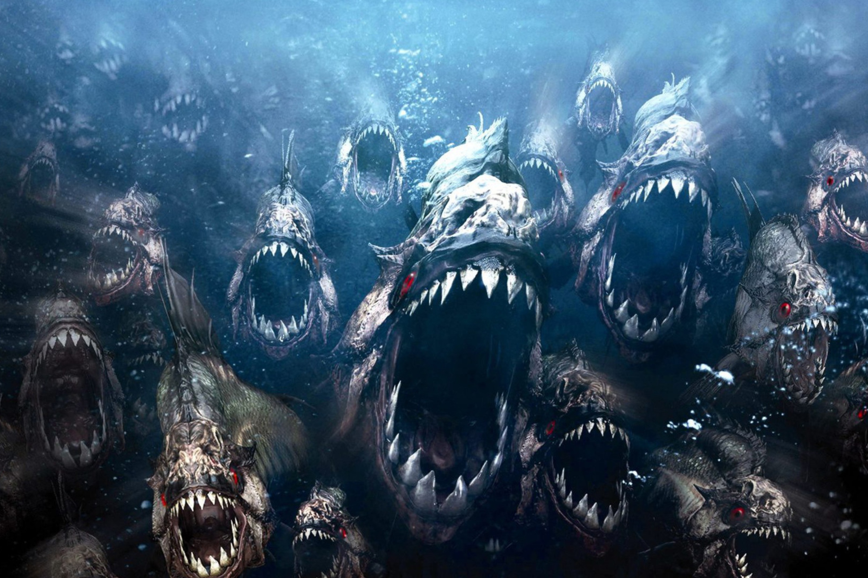 Piranha wallpaper 2880x1920