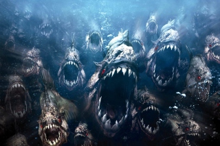 Piranha Wallpaper for Android, iPhone and iPad