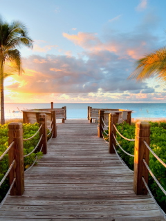 Bridge In Paradise wallpaper 240x320