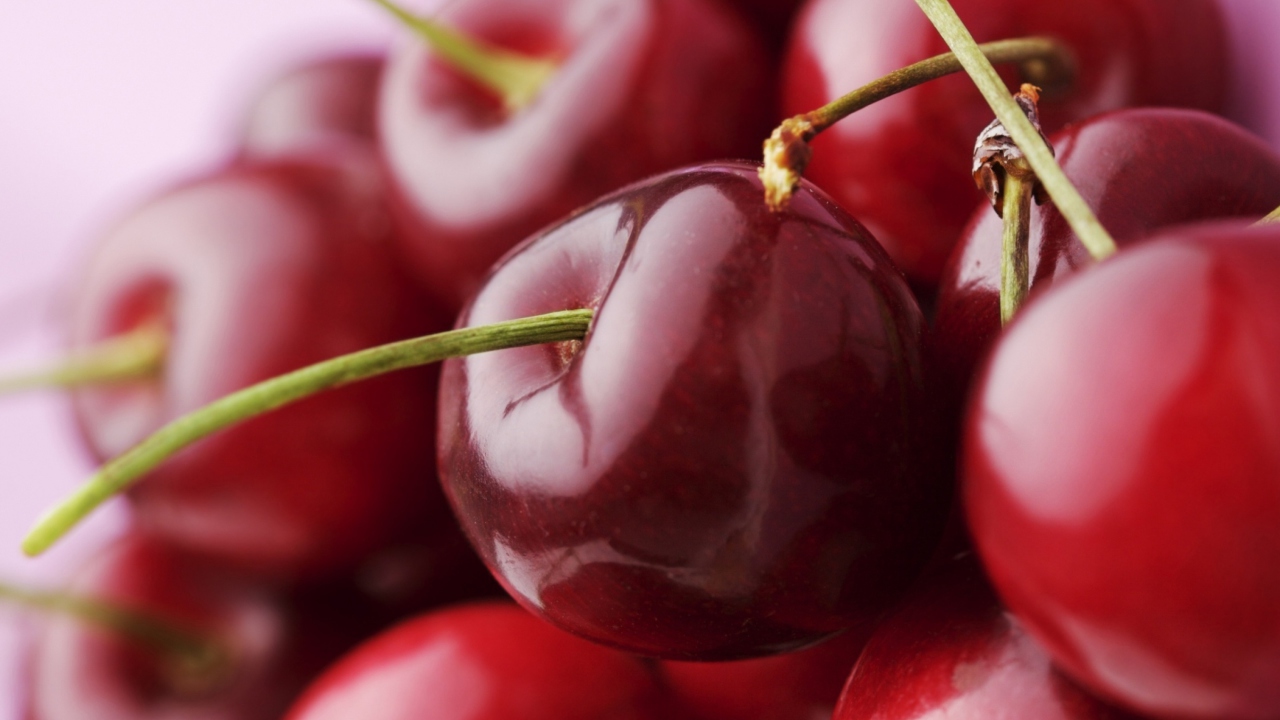 Sfondi Red Cherries 1280x720