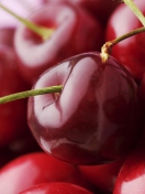 Sfondi Red Cherries 132x176