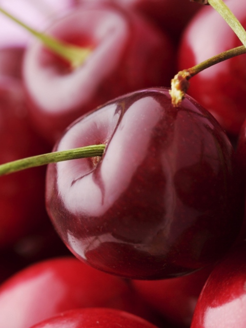 Sfondi Red Cherries 480x640