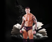 Randy Orton wallpaper 176x144