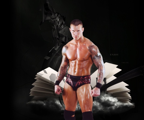 Sfondi Randy Orton 480x400