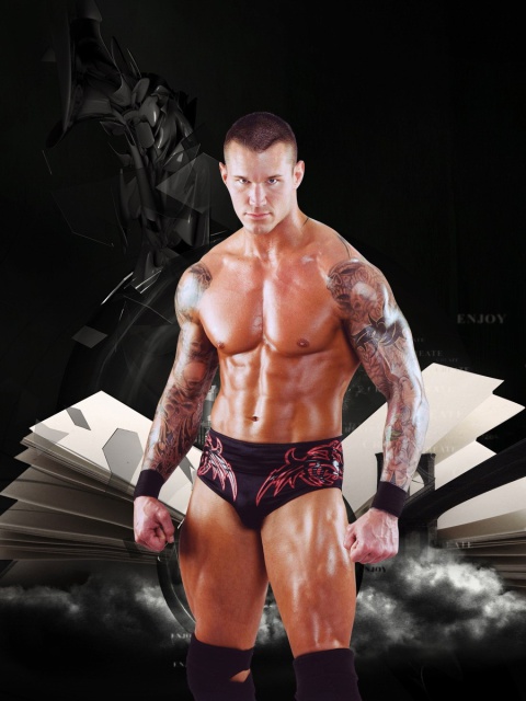 Randy Orton screenshot #1 480x640