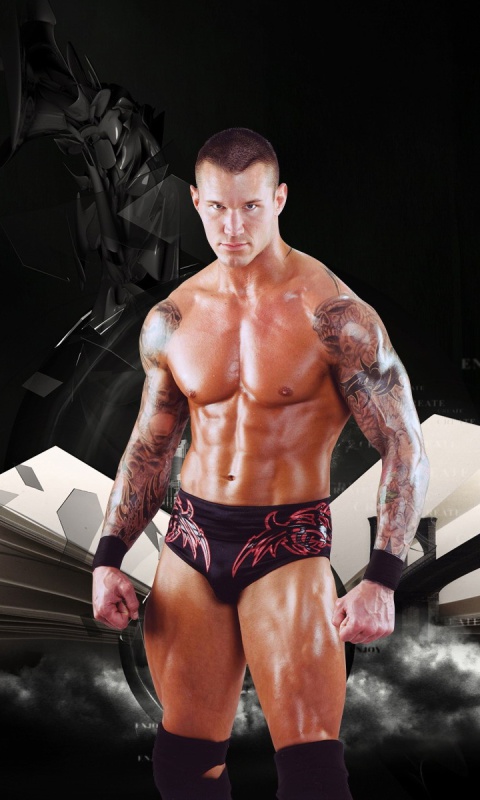 Randy Orton screenshot #1 480x800
