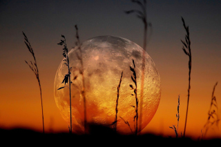 Free Big Moon Picture for Android, iPhone and iPad