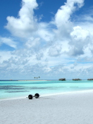 Maldives screenshot #1 132x176