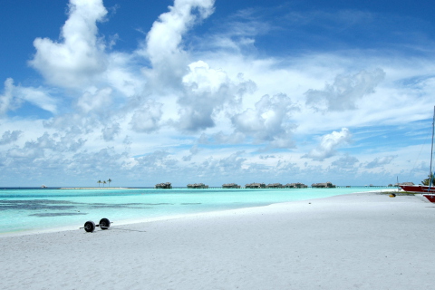 Maldives screenshot #1 480x320