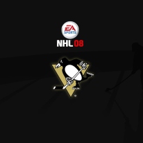 Nhl 08 screenshot #1 208x208