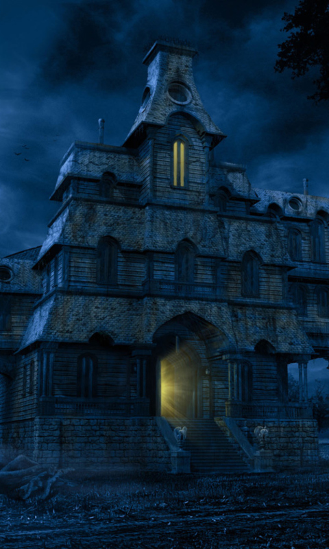 A Haunted House wallpaper 480x800