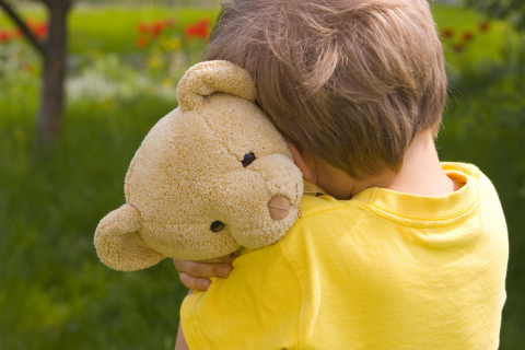 Love Teddy Bear screenshot #1 480x320