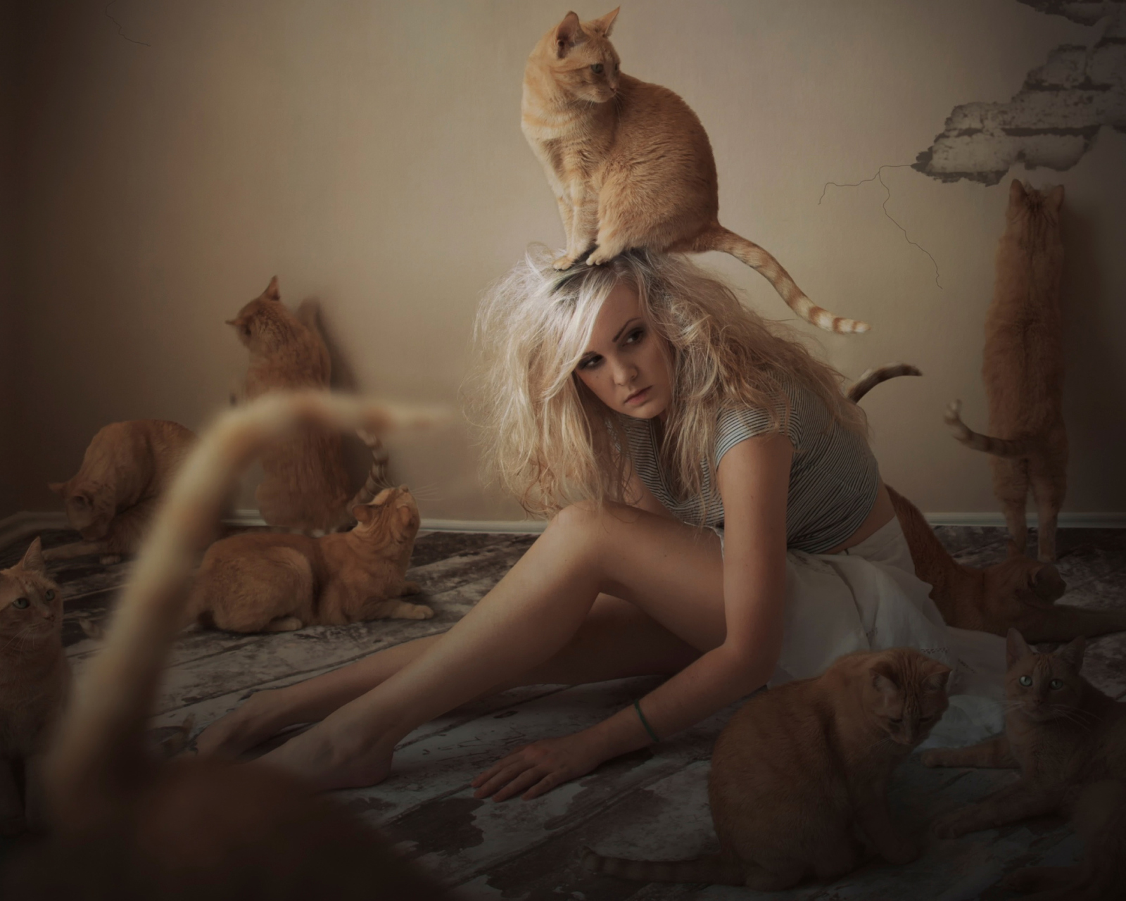 Sfondi Cat Girl 1600x1280