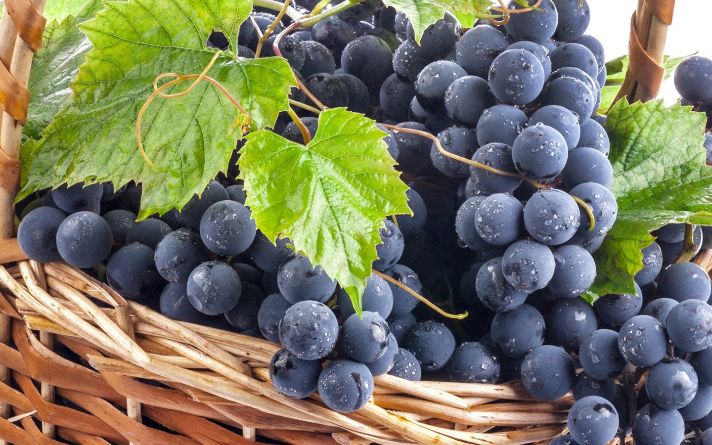 Blue Concord Grape wallpaper 1440x900