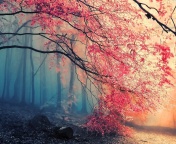 Misty Autumn Forest and Sun wallpaper 176x144
