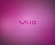 Screenshot №1 pro téma Pink Sony Vaio Logo 176x144