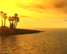 Beach Sunset screenshot #1 220x176