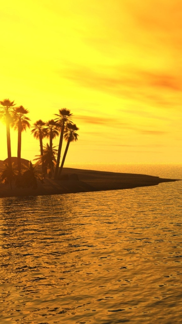 Beach Sunset wallpaper 360x640