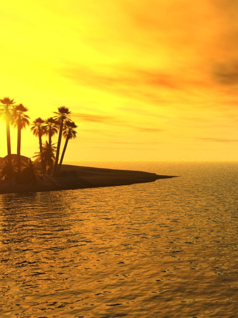 Beach Sunset screenshot #1 480x640