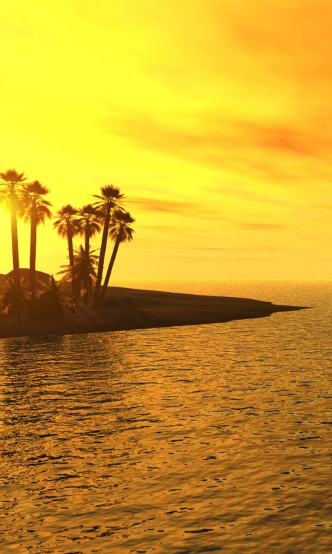 Sfondi Beach Sunset 480x800