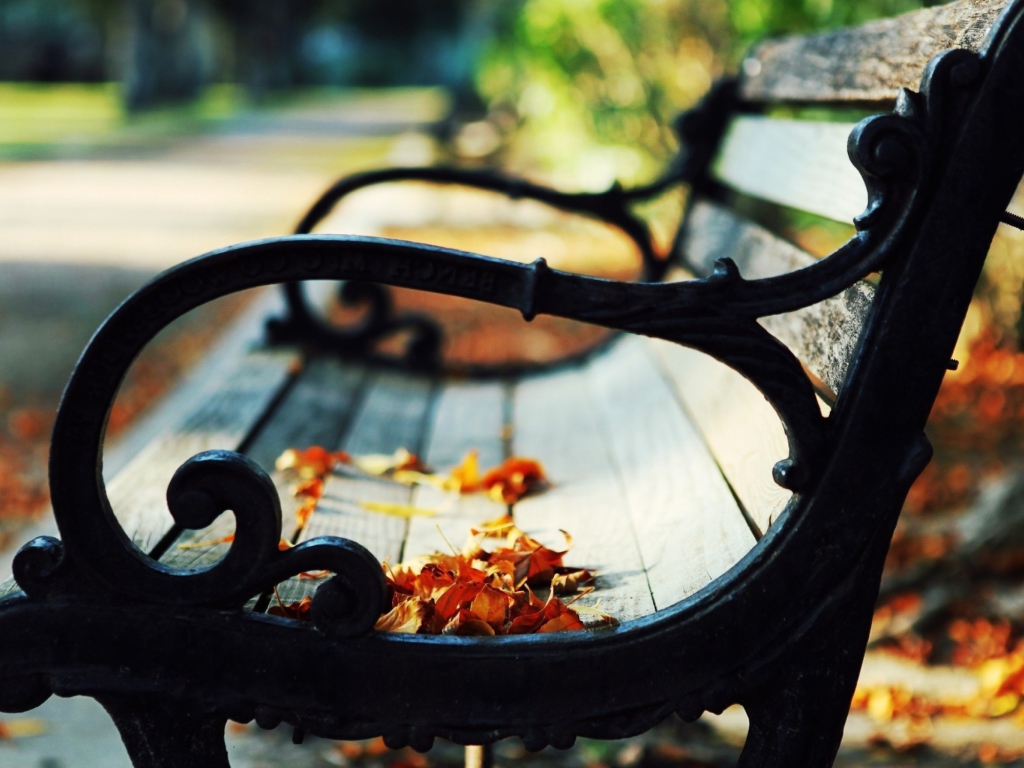 Обои Bench In The Park 1024x768