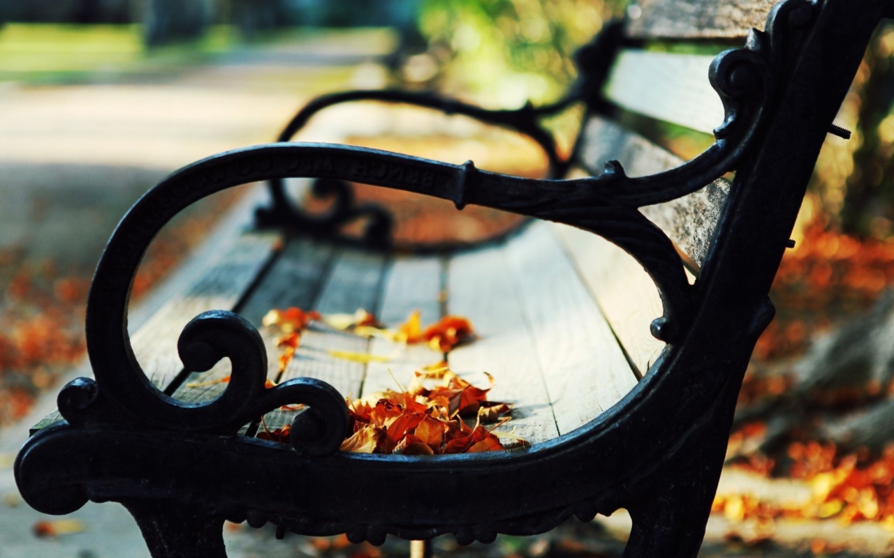 Обои Bench In The Park 1280x800