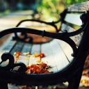 Обои Bench In The Park 128x128