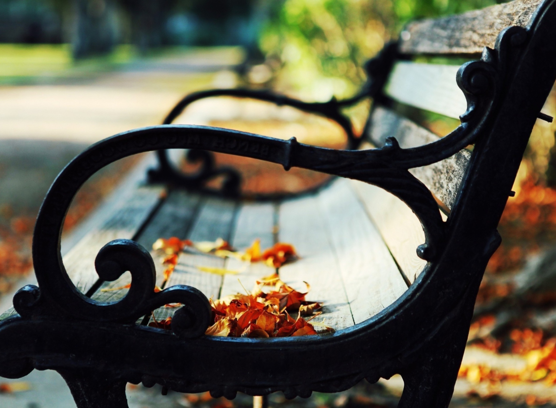Обои Bench In The Park 1920x1408