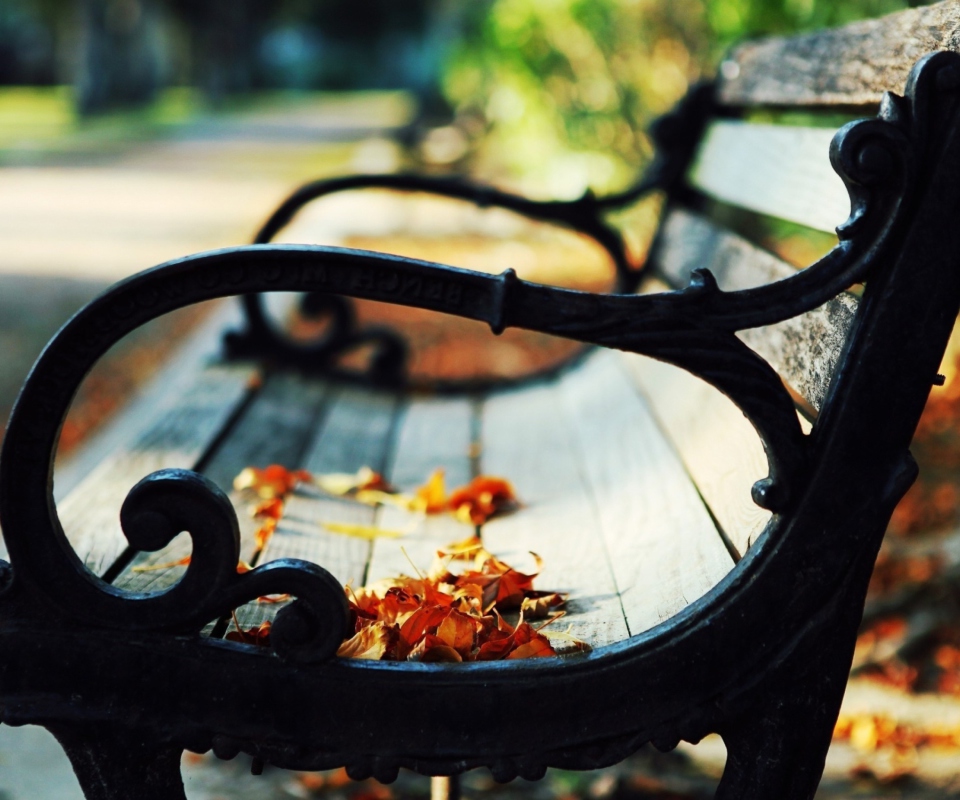 Обои Bench In The Park 960x800
