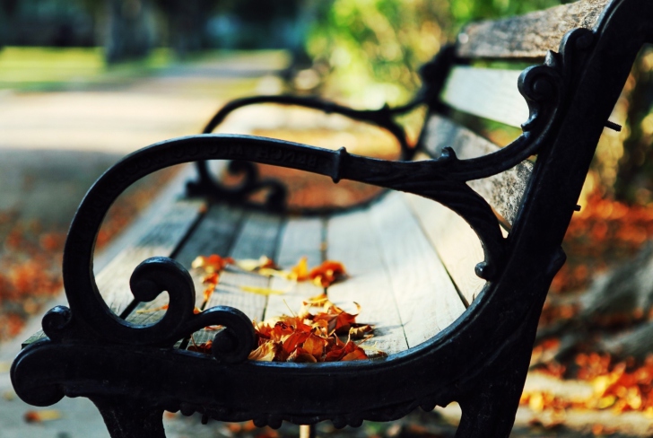 Обои Bench In The Park