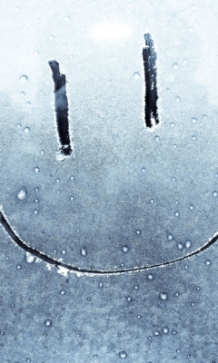 Sfondi Smiley Face On Frozen Window 240x400