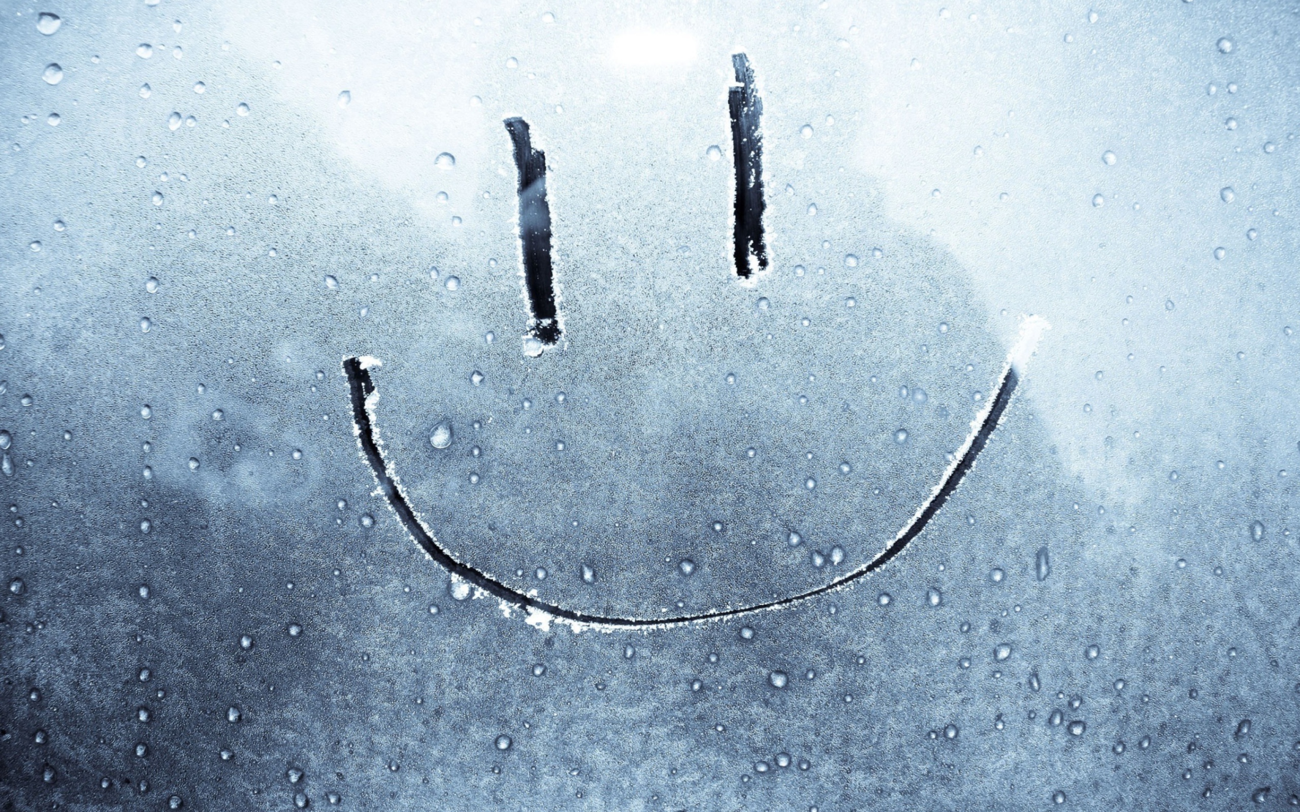 Sfondi Smiley Face On Frozen Window 2560x1600
