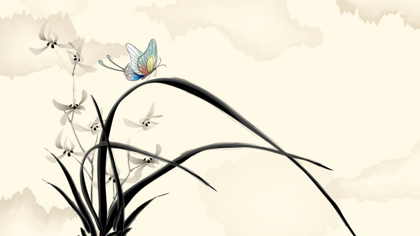 Butterfly Picture wallpaper 1366x768