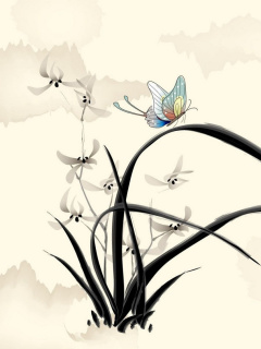 Fondo de pantalla Butterfly Picture 240x320