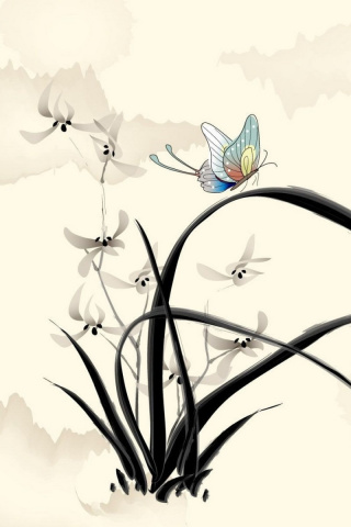 Das Butterfly Picture Wallpaper 320x480