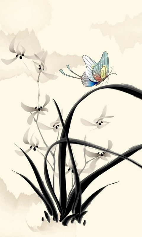 Das Butterfly Picture Wallpaper 480x800