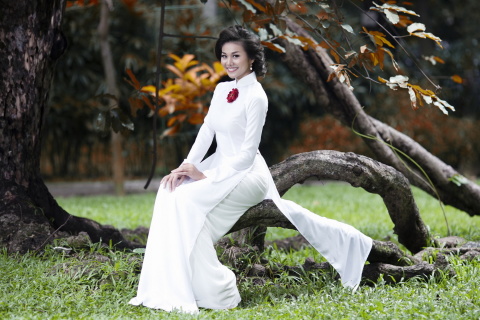 Fashion model from Vietnam wallpaper 480x320