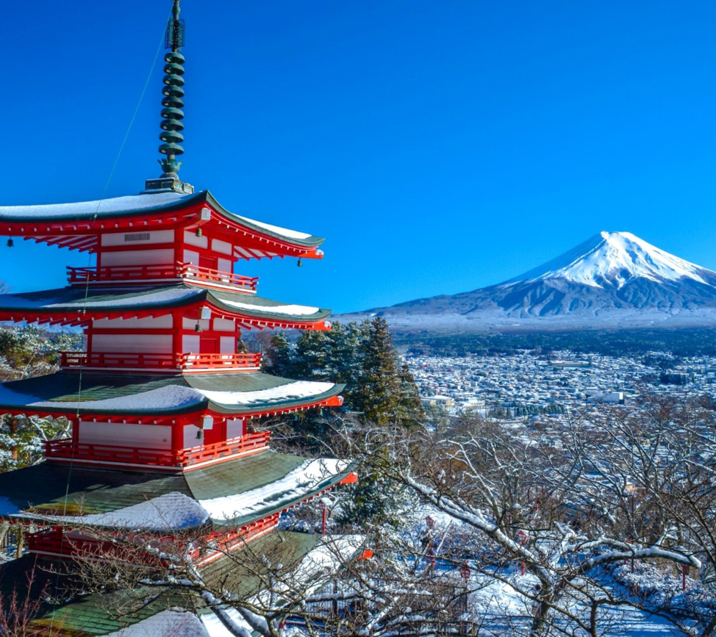 Fuji Mountain screenshot #1 1440x1280