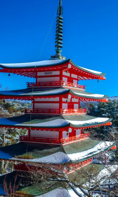 Fuji Mountain screenshot #1 240x400